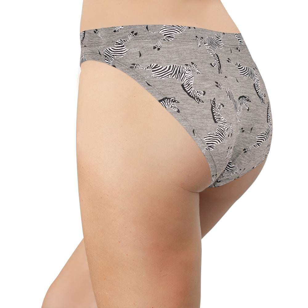 Zebra and Heather Gray Bikini in Modal