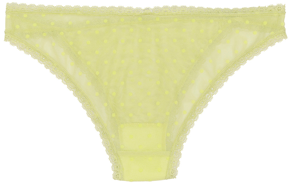 Flocked Polka Dot Mesh Cheeky with Lace Details