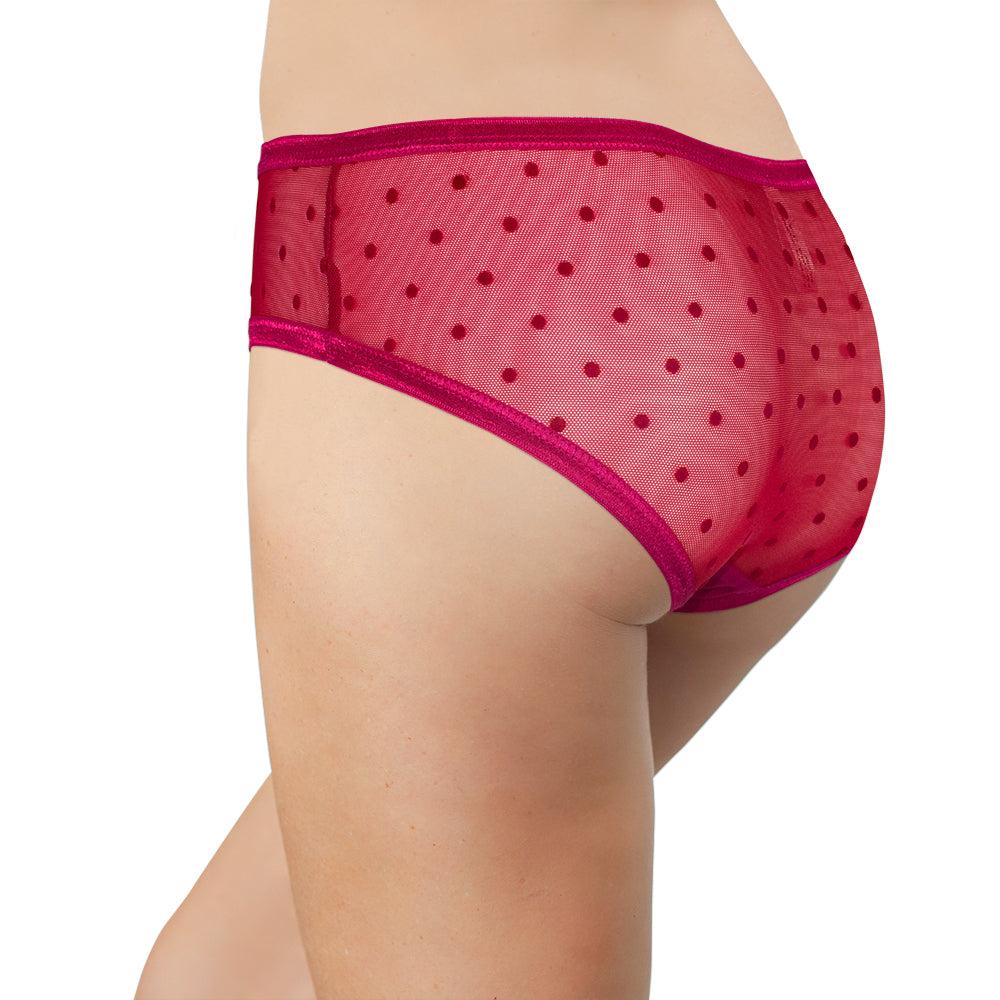 Polka Dot Mesh Bikini with Satin Trim